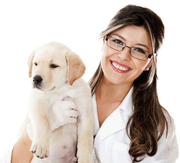 clinica-home.png